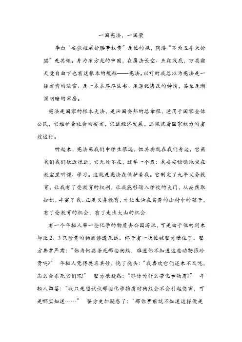 宪法演讲稿 2
