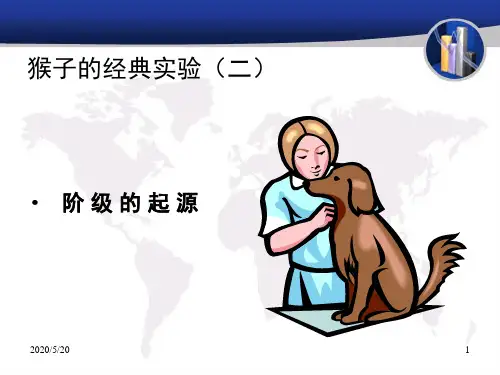 猴子的经典实验(二)