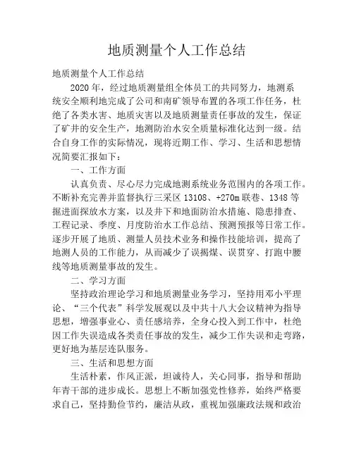 地质测量个人工作总结