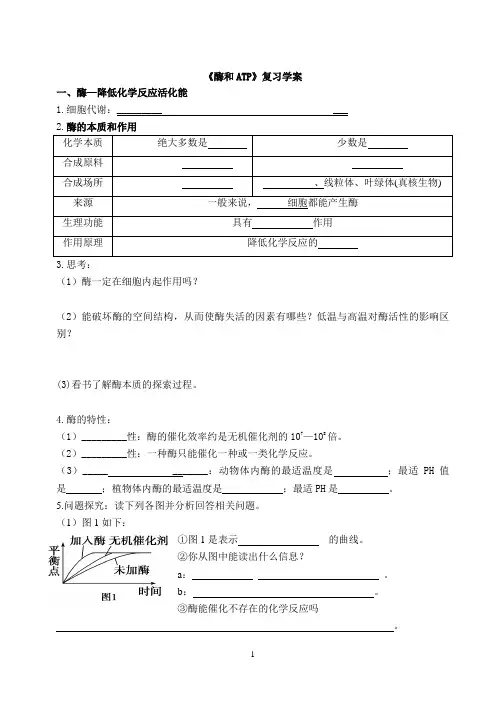 《酶和ATP》复习学案