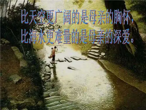 《我的母亲》 上课课件-课件·PPT
