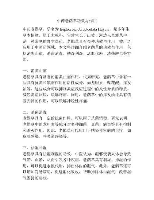 中药老鹳草功效与作用