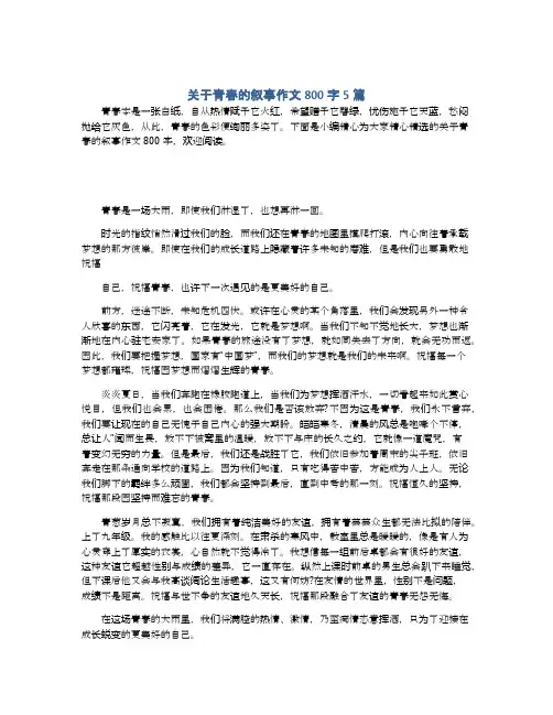 关于青春的叙事作文800字5篇