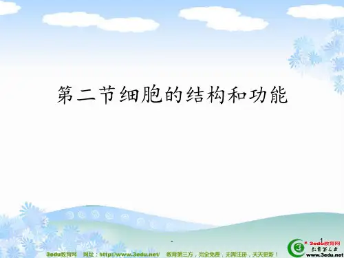 七年级生物细胞的结构和功能(2)PPT课件