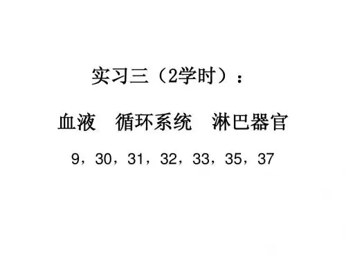 组胚三(2学时):