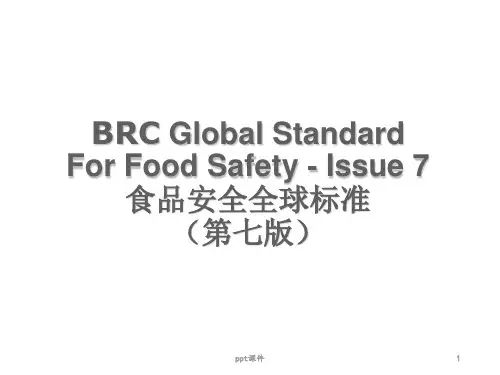 食品安全全球标准 ppt课件