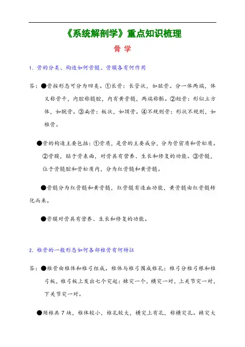 系统解剖学重点知识梳理