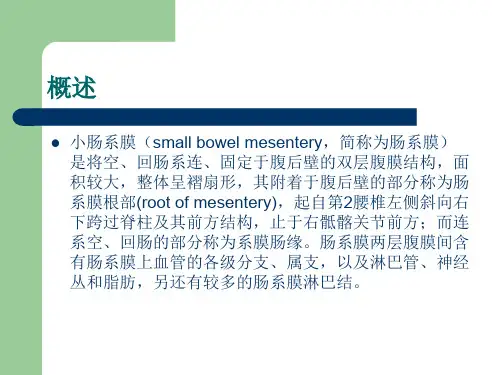 医学课件小肠系膜肿瘤的CT表现及其鉴别诊断