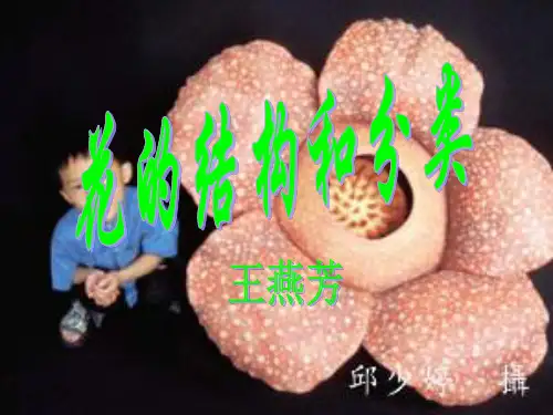 第一节_花的结构和类型