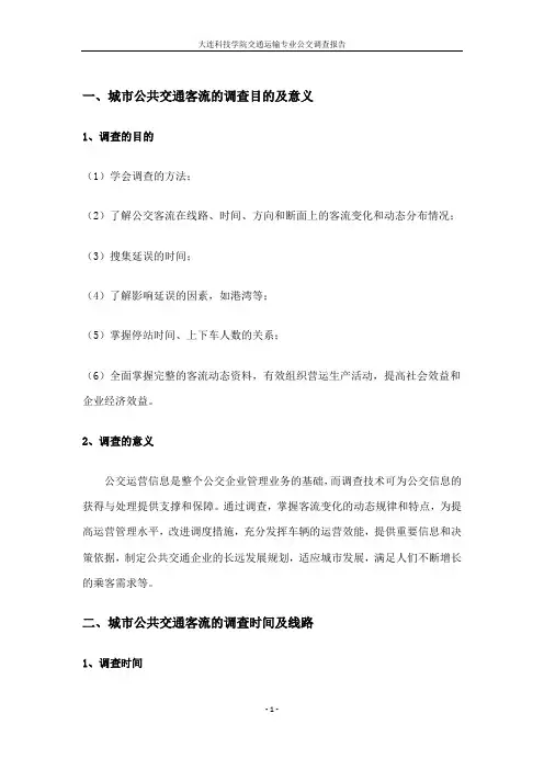 公交调查报告