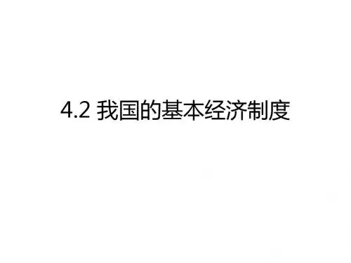 高一政治我国的基本经济制度1(3)