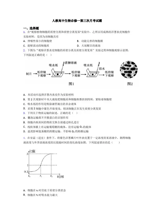人教高中生物必修一第三次月考试题