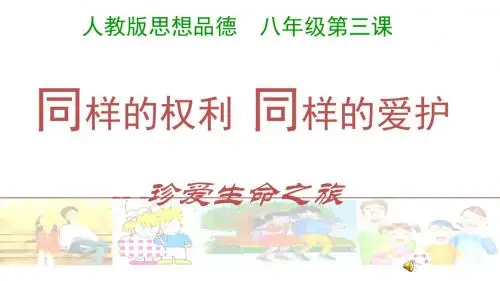 人教版八年级思想品德下册3.2《同样的权力,同样的爱护》课件(共24张PPT)