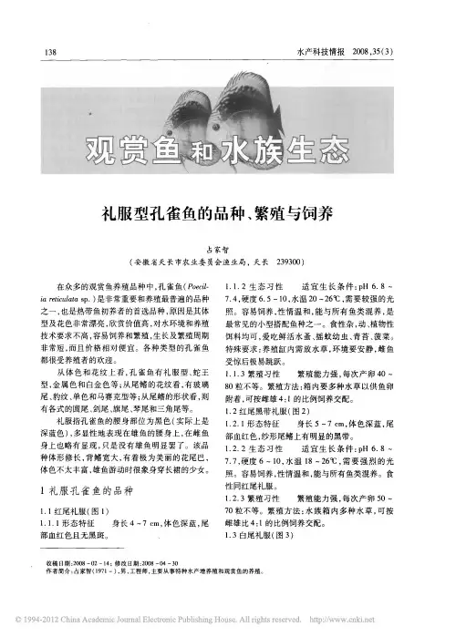 礼服型孔雀鱼的品种_繁殖与饲养