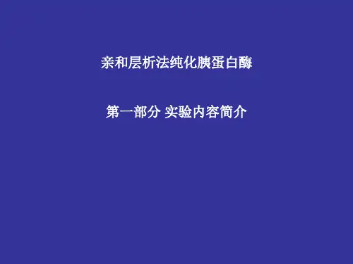 亲和层析法纯化胰蛋白酶第一部分实验内容简介-PPT精品