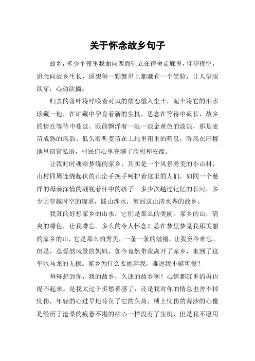 关于怀念故乡句子