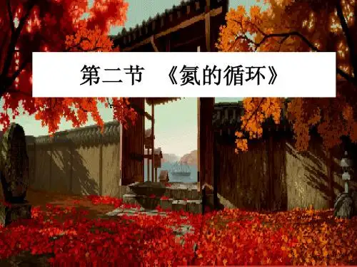 氮的循环(第一课时)