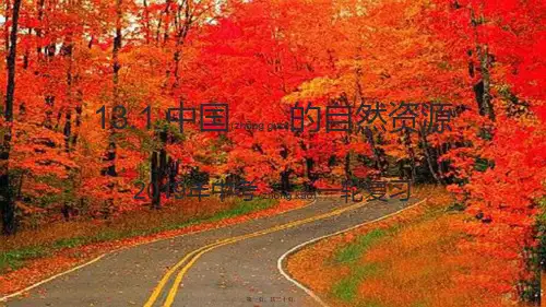 中考地理一轮复习13.1中国的自然资源