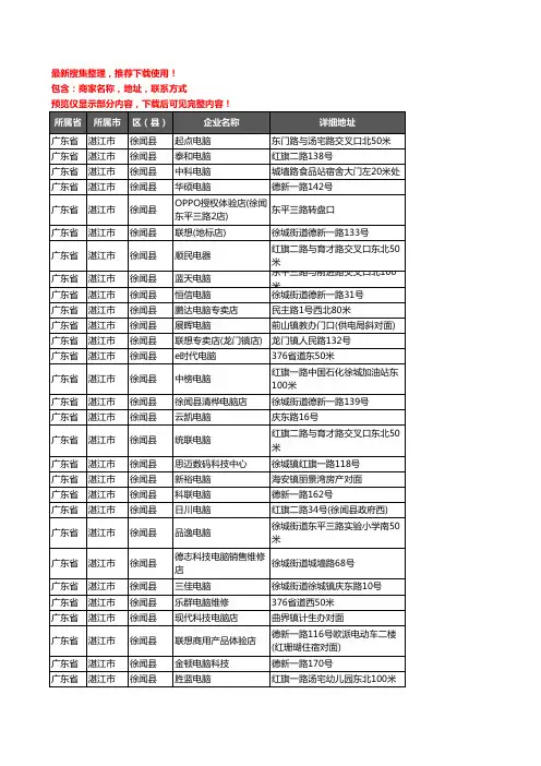 新版广东省湛江市徐闻县电脑企业公司商家户名录单联系方式地址大全47家