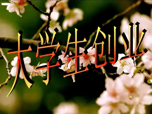 大学生创业ppt