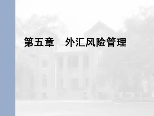 国际金融第五章 外汇风险管理