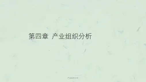 产业组织分析课件
