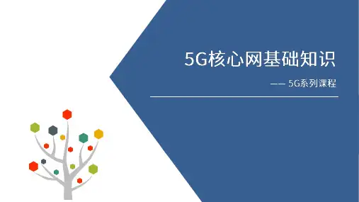 5G核心网基础知识概述