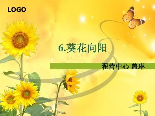 6、葵花向阳