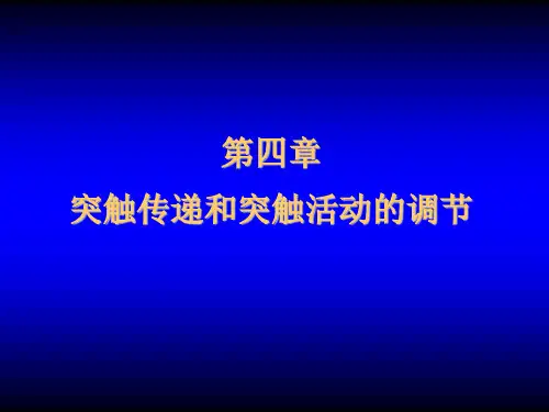 第四章突触传递和突触活动的调节