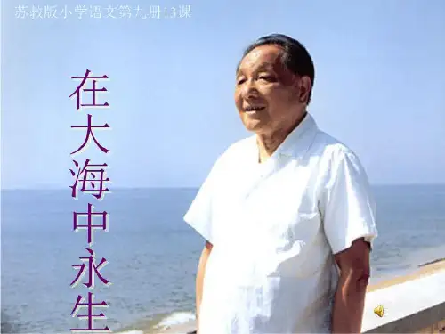 在大海中永生课件1