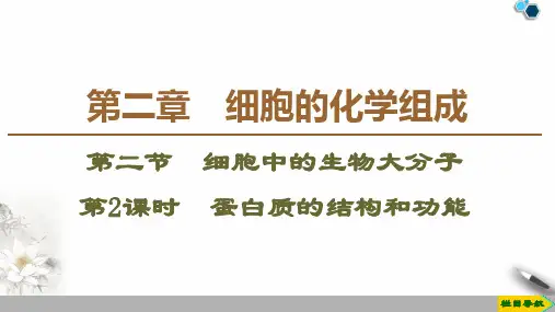 2019-2020学年苏教版生物必修1_ 第2章 细胞的化学组成 第2节 第2课时 蛋白质的结构和功能