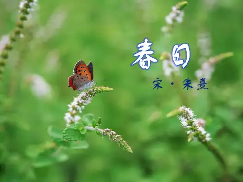 (完整版)[诗歌鉴赏]春日·朱熹
