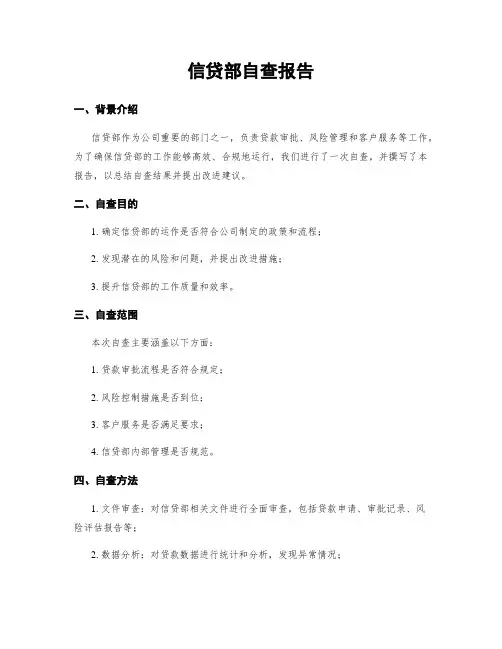 信贷部自查报告