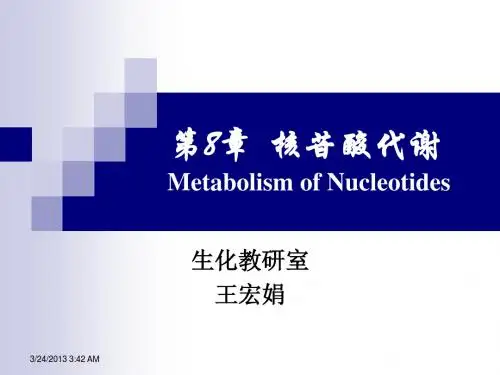 生物化学核苷酸代谢