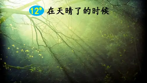 12在天晴了的时候