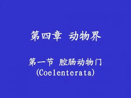 第四章 动物界 第一节 腔肠动物门(Coelenterata)