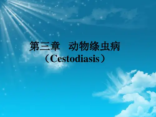 第三章 绦虫