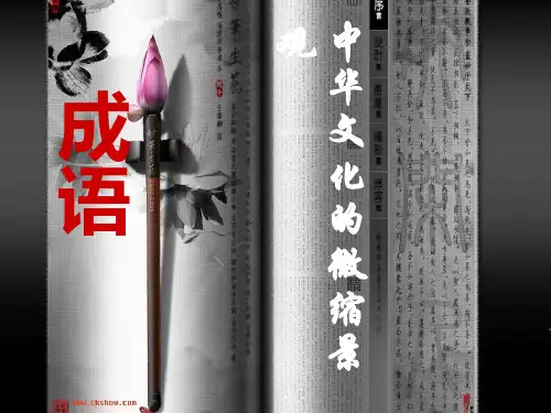 梳理探究;成语