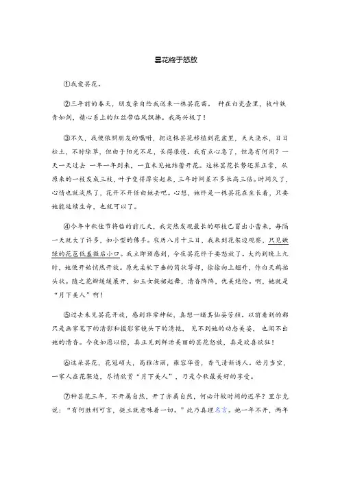 阅读训练 昙花终于怒放了(含答案)
