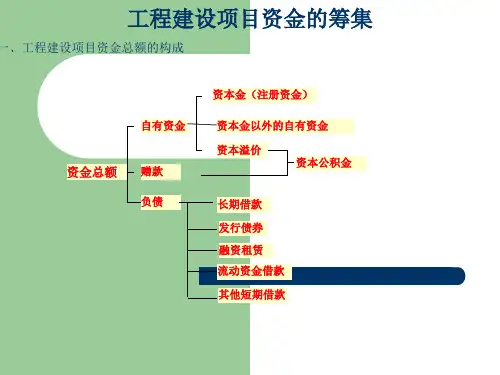 工程建设项目资金筹措
