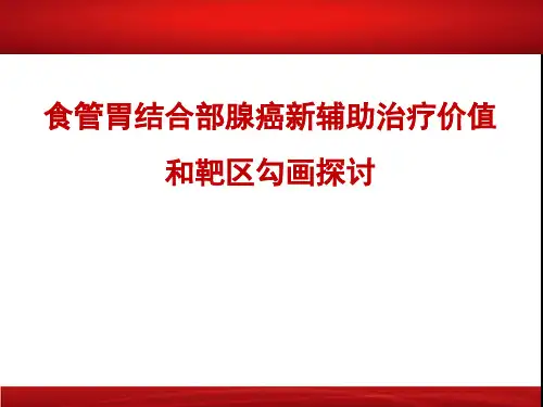 食管胃结合部腺癌