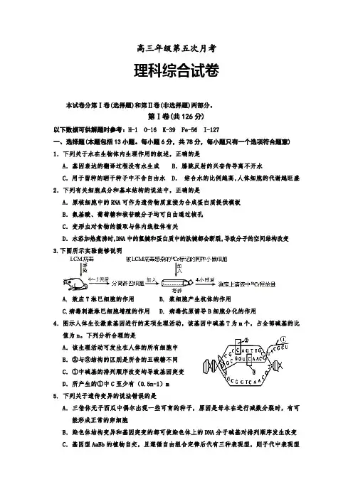 高三第五次月考理综试卷及答案