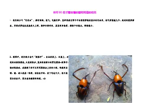 农村80后才看的懂的图和知道的经历