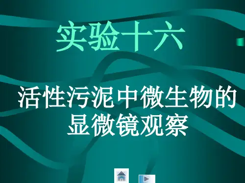 活性污泥中微生物的显微镜观察