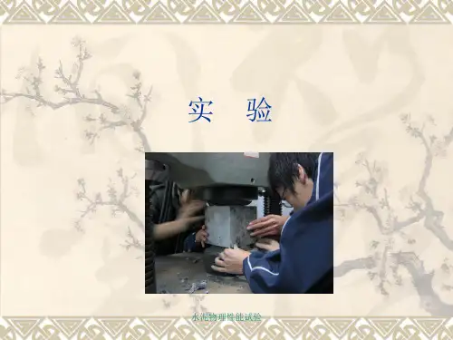 水泥物理性能试验 ppt课件