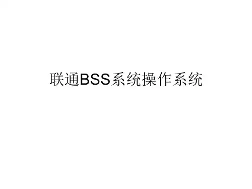 联通BSS系统操作系统