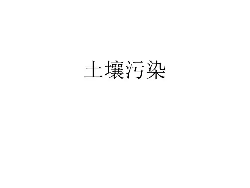 土壤污染 PPT课件