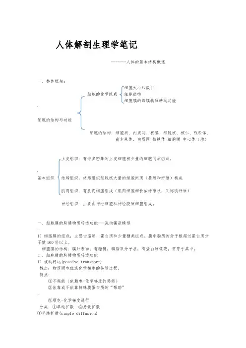 人体解剖生理学笔记-人体的基本概述