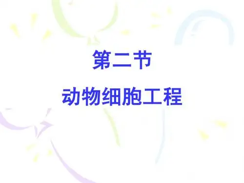 动物细胞工程