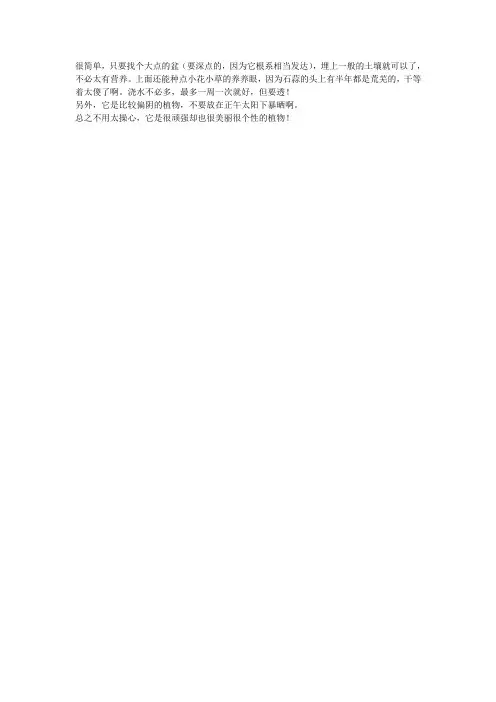 石蒜怎么种